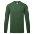 Antistatisches ESD-Langarm-T-Shirt AS22 Grün