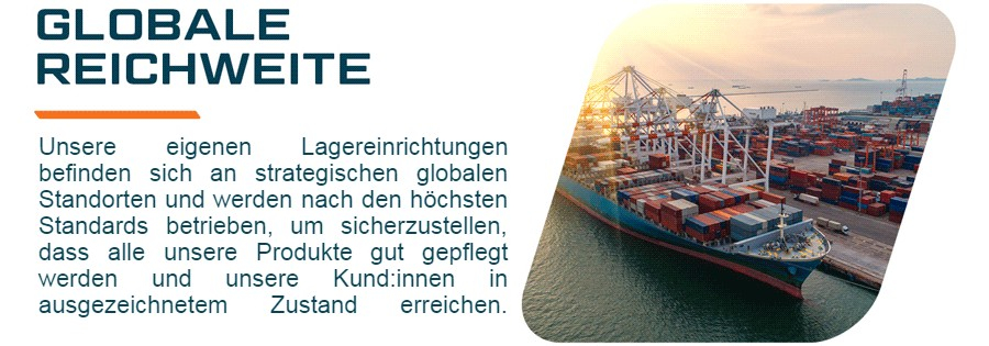 Bild eines Containerschiffs im Hafen nebst einer Beschreibung zur globalen Reichweite von Portwest.