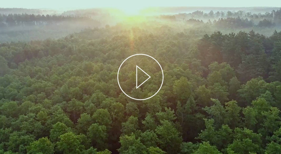 Portwest-video over milieubescherming