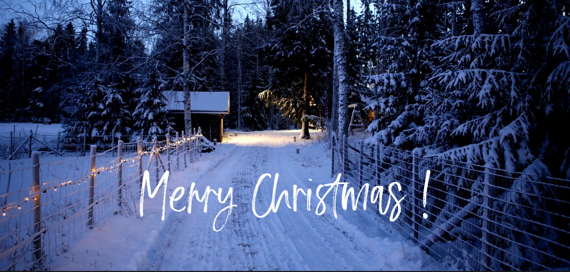 ingezäunter Weg am Waldrand mit Weihnachtsbeleuchtung beleuchtet. Im linken Hintergrund befindet sich eine kleine Holzhütte, umgeben von schneebedeckten Bäumen. Die Szene wurde im blauen Abendlicht fotografiert. Das Bild trägt eine weiße, handgeschriebene Inschrift mit den Worten „Frohe Weihnachten!“.