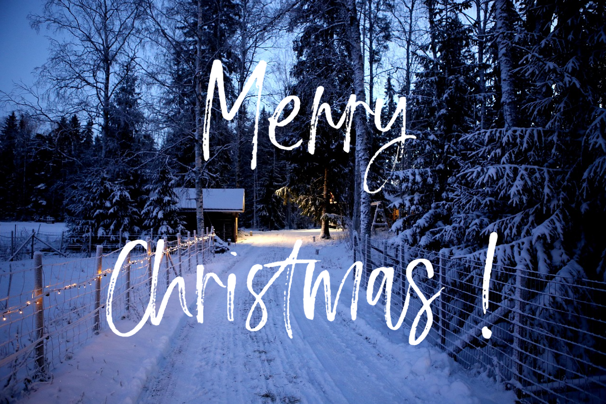 ingezäunter Weg am Waldrand mit Weihnachtsbeleuchtung beleuchtet. Im linken Hintergrund befindet sich eine kleine Holzhütte, umgeben von schneebedeckten Bäumen. Die Szene wurde im blauen Abendlicht fotografiert. Das Bild trägt eine weiße, handgeschriebene Inschrift mit den Worten „Frohe Weihnachten!“.