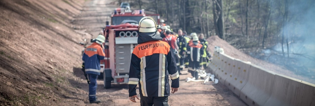 Rückenansicht eines Feuerwehrmannes in voller Montur. Im Hintergrund sieht man ein Feuerwehrauto auf einem Waldweg und eine Gruppe Feuerwehrleute bei der Arbeit.